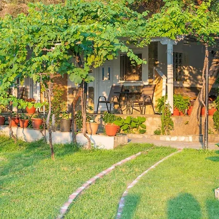 Vagelis Kalamítsion