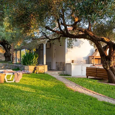 Vagelis Kalamítsion